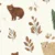 Little Bears
